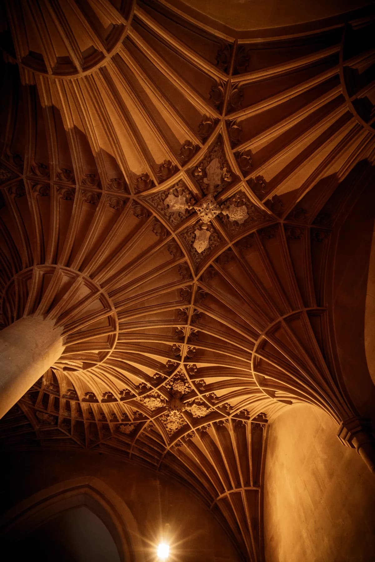 Parties, Dinners & Meetings at Ashton Court Mansion